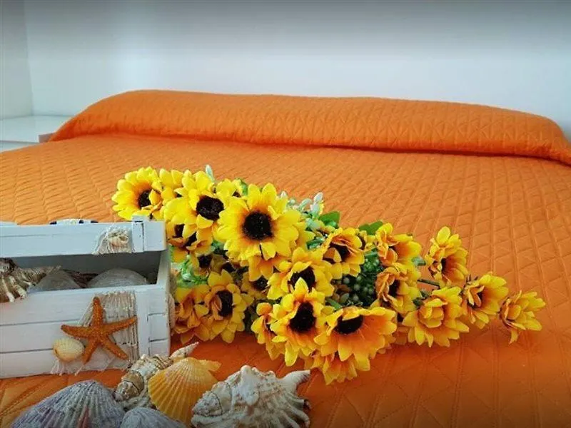 Hotel Alba Rimini